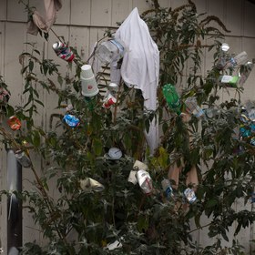 Trash Tree Trash Tree